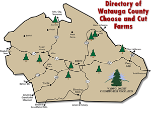 WCCTA Boone North Carolina - Choose and Cut Christmas Trees Farms