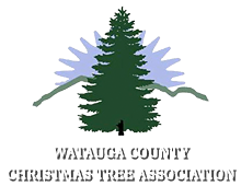 Watauga County Christmas Tree Association - Boone NC