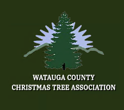 wataugachristmastrees.org